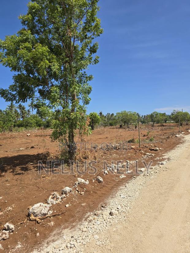 100*100 [1/4 Acres] Plots for Sale Kilifi Tezo