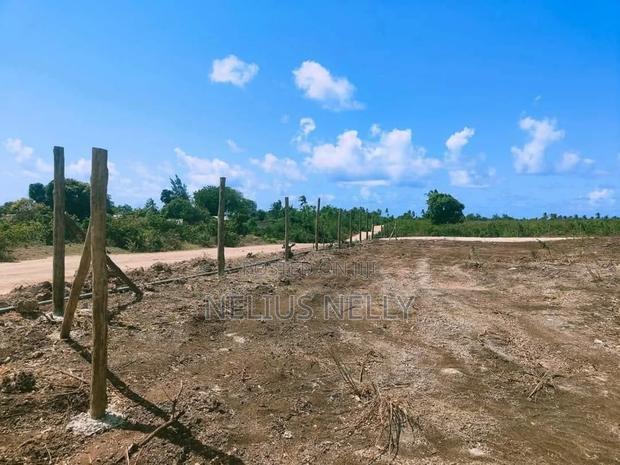 Tezo Kokoto Plots for Sale Kilifi
