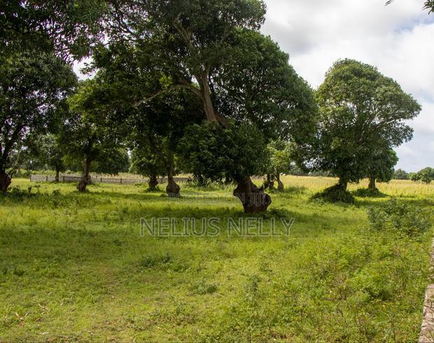 Airport View Malindi Prime Plots for Sale