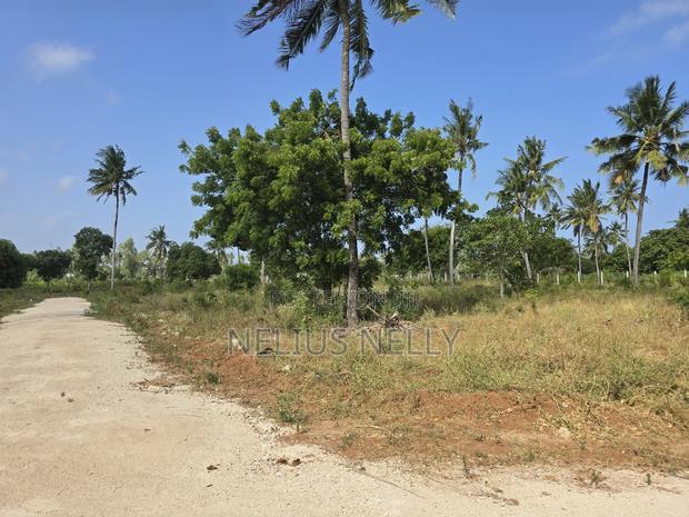 Chumani Phase5 Kilifi Between Tezo Town and Chumani Town