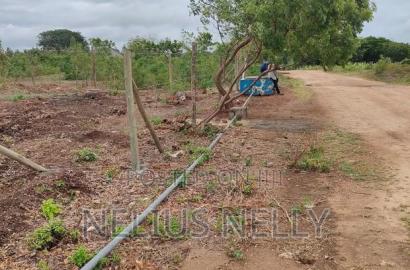 Tezo Kokoto Plots for Sale Kilifi