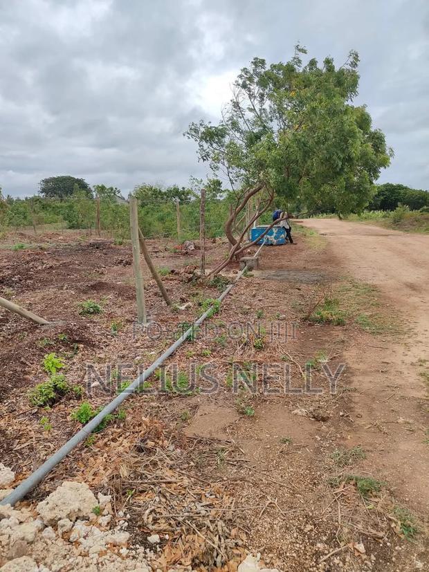 Tezo Kokoto Plots for Sale Kilifi