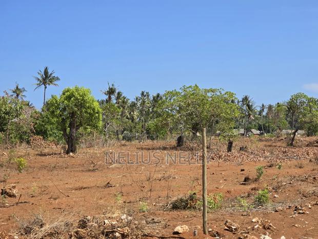 Kilifi Tezo Plots Walking Distance From Highway