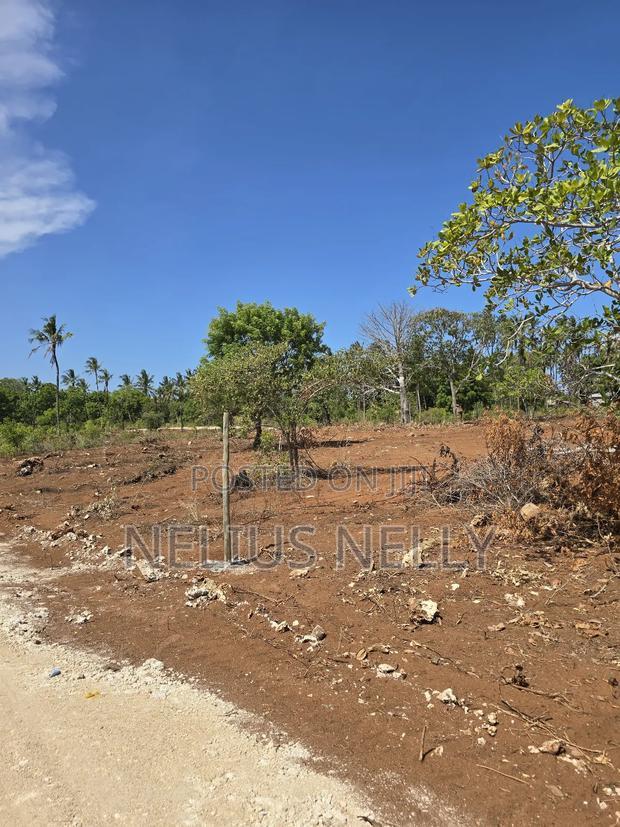 100*100 [1/4 Acres] Plots for Sale Kilifi Tezo