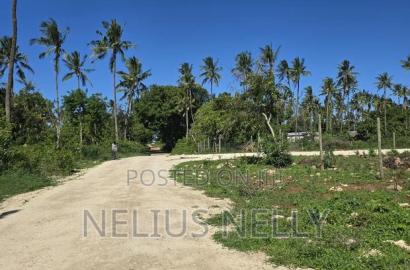 Tezo 1/8 Acres Plots Walking Distance From Highway