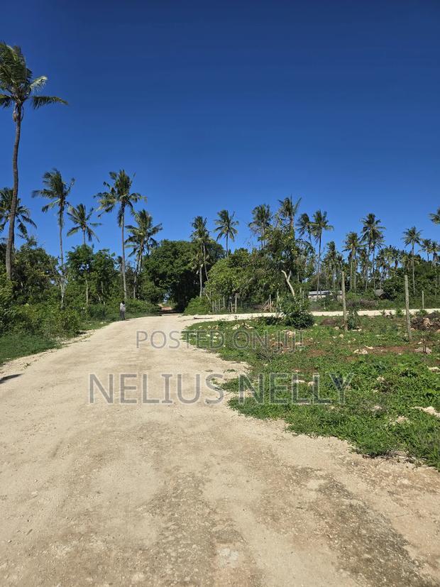 Tezo 1/8 Acres Plots Walking Distance From Highway