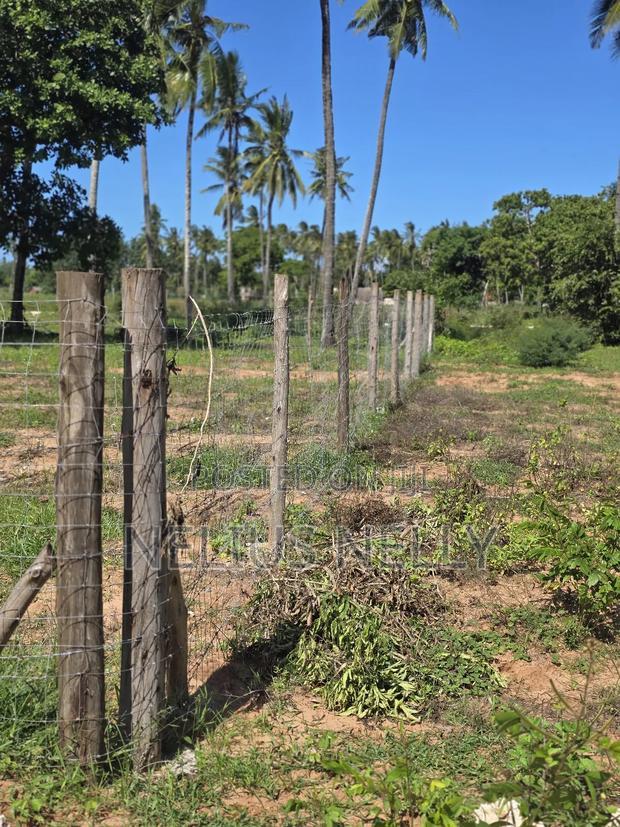 Tezo 1/8 Acres Plots Walking Distance From Highway