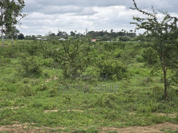 Plots Touching Mariakani ~ Kaloleni ~ Mavueni Bypass