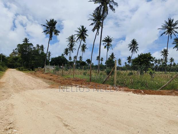 Affordable Plots Kilifi Tezo on Beach Side