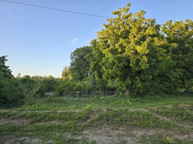Kikambala 2nd Row From Beach 12.5 Acres for Sale