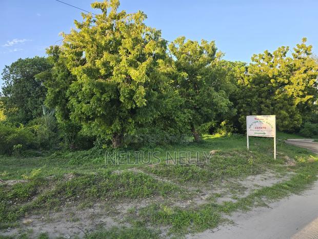 Kikambala 2nd Row From Beach 12.5 Acres for Sale