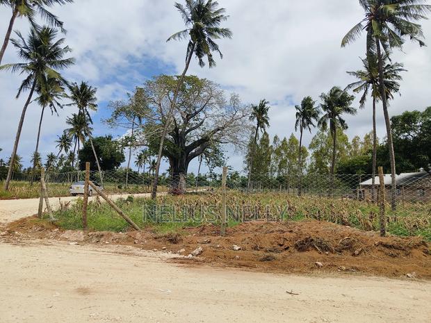 Affordable Plots Kilifi Tezo on Beach Side