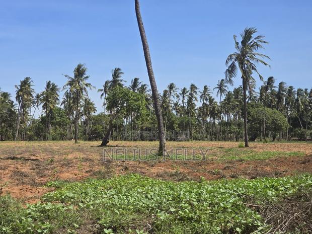 1acre Land for Sale Kilifi Tezo
