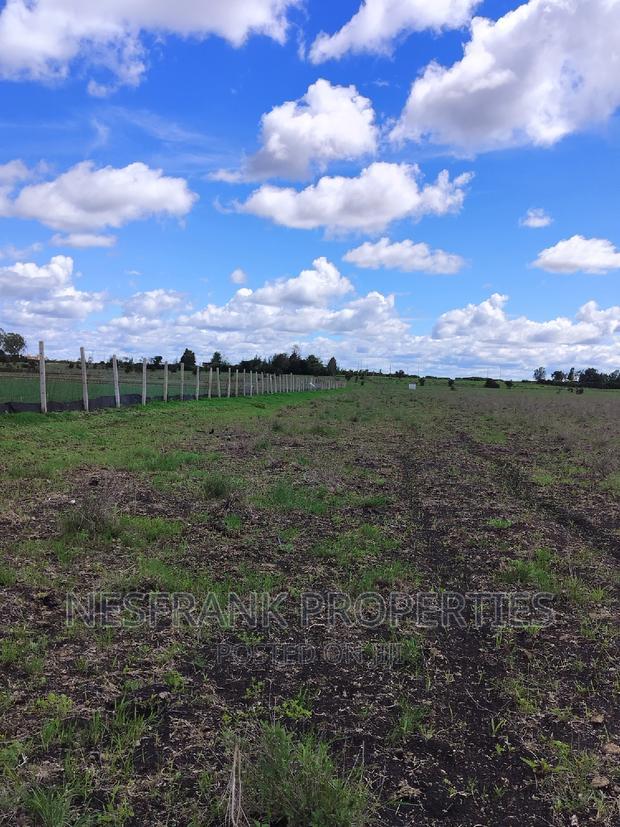 Isinya Prime Plots