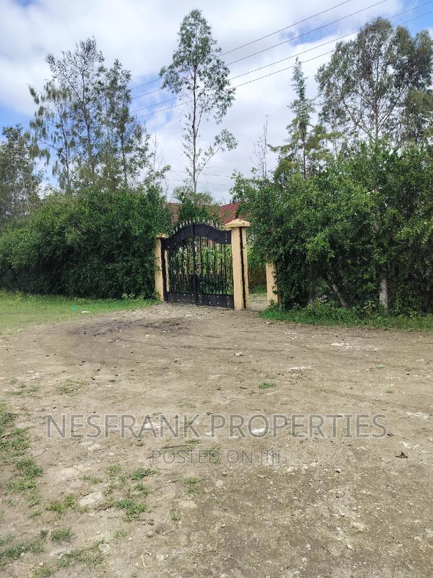 Isinya Prime Plots