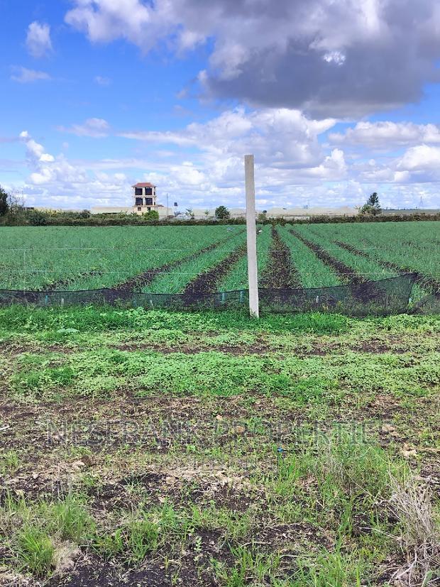 Isinya Prime Plots