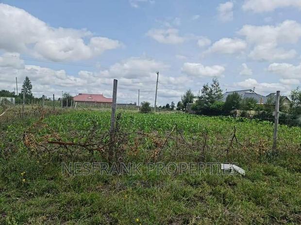 Isinya Prime Plots
