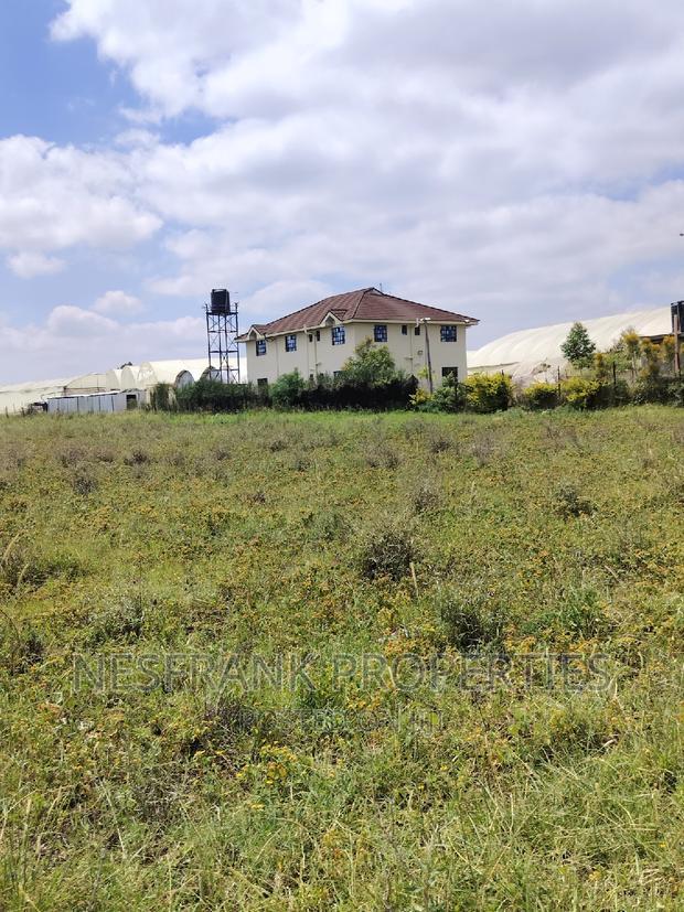 Isinya Prime Plots