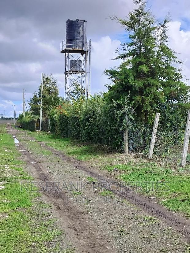 Isinya Prime Plots