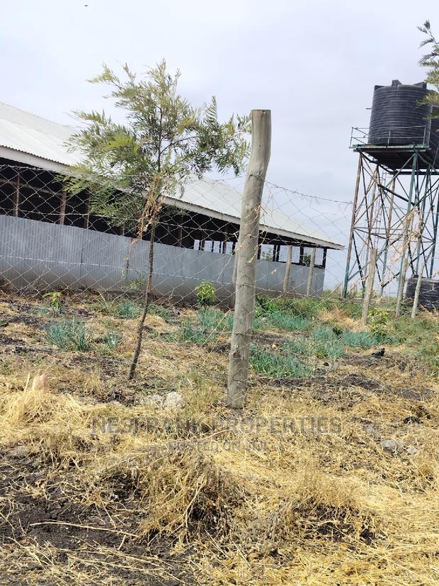 Kitengela Isinya Plots Size 50*100
