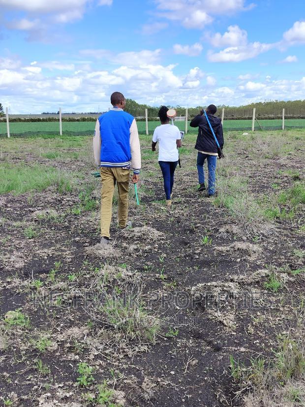 Isinya Prime Plots