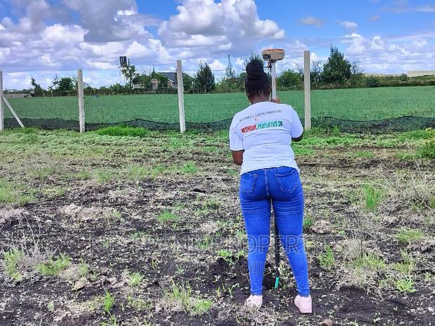 Isinya Prime Plots