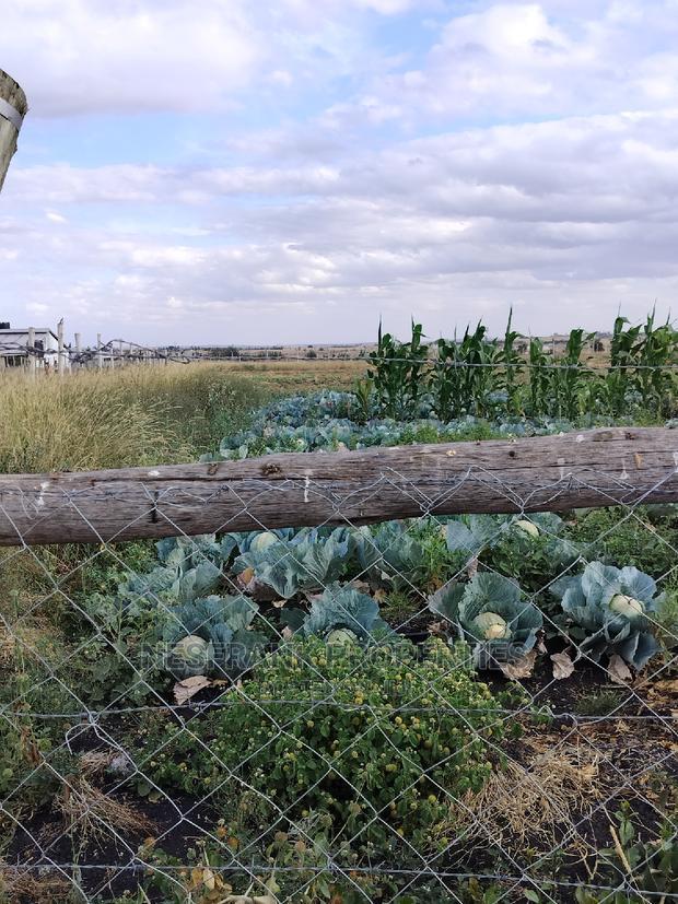 Kitengela Isinya Plots Size 50*100