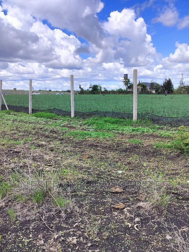 Isinya Prime Plots