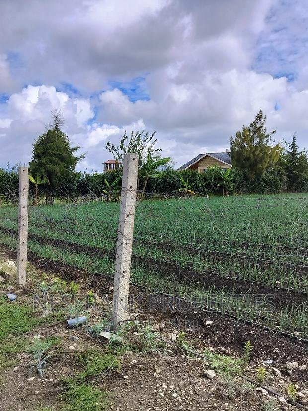 Isinya Prime Plots
