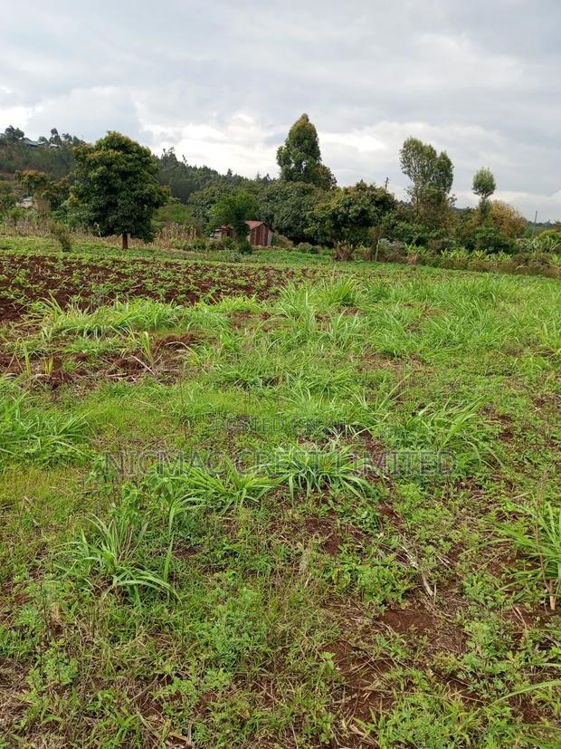 Serviced Plots for Sale in Rironi Near Tilisi