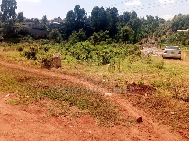 Prime Residential Plots