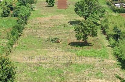Plots for Sale in Rironi Near Tilisi
