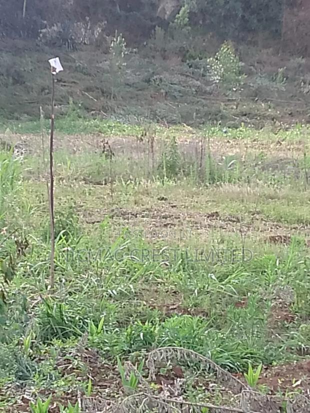 Plots for Sale Near Tilisi Developments