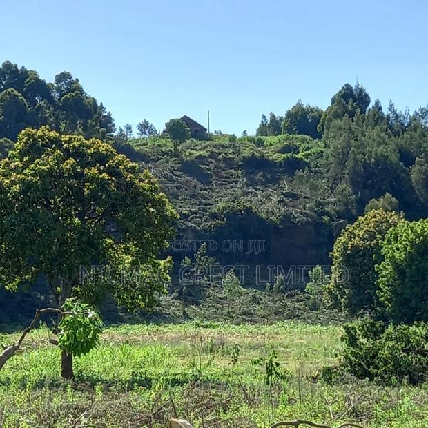 Serviced Plots for Sale in Rironi Near Tilisi