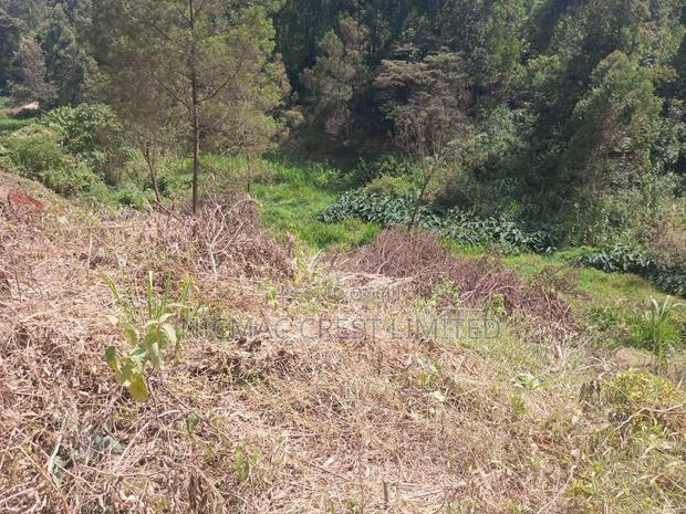 50*100 Plots for Sale in Gachie, Kihara