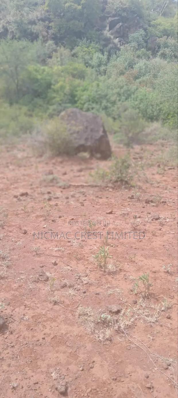1/2 Plots For Sale