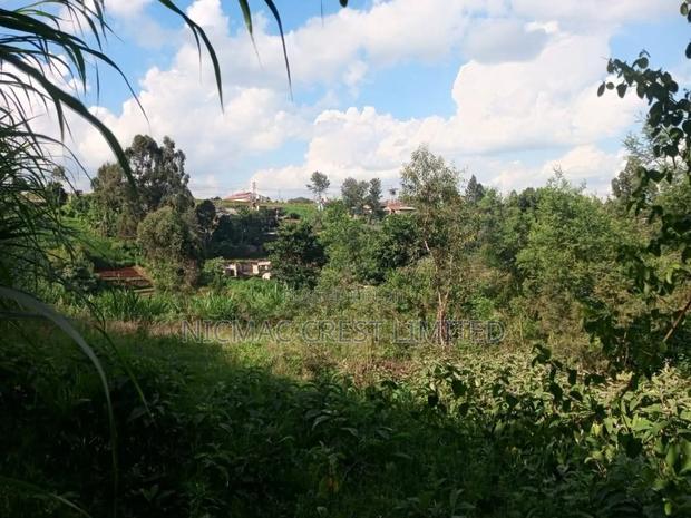 Prime 50 by 100 Plots for Sale