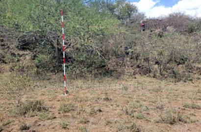 Offer! Offer! 1/2 Acres Plots for Sale