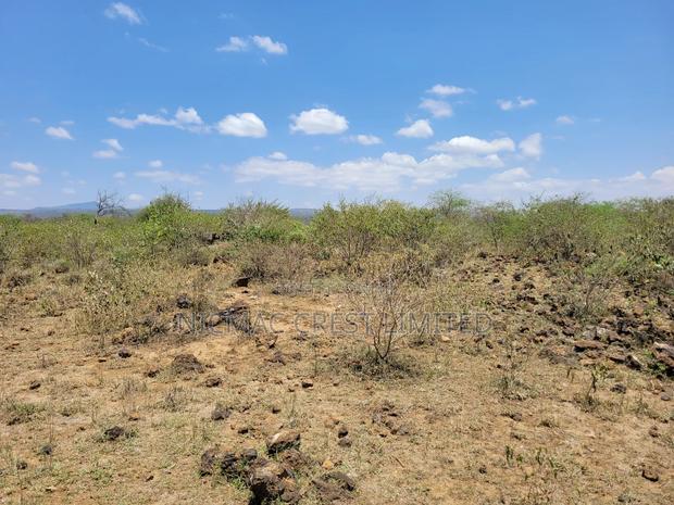 1/2 Plots For Sale
