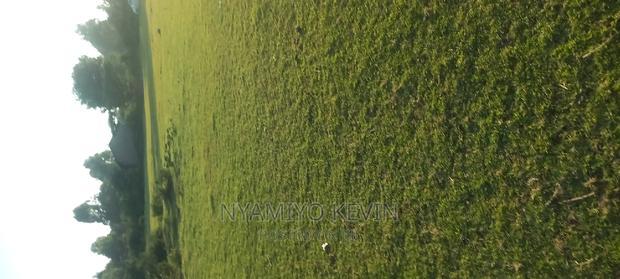 Gem Kilo Shopping Centre