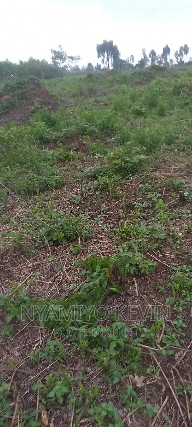 Alego Upanda Land for Farming.