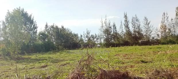 Sakwa Bondon Nyawita