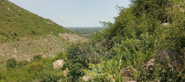 Plots in Kisian( Kisumu West)