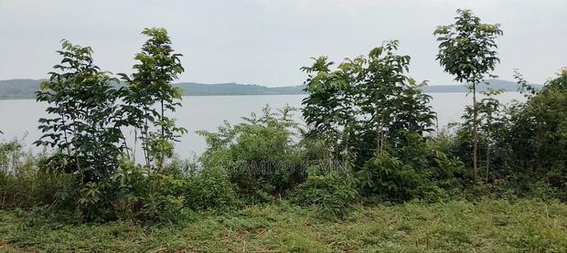 Nyamonye Ugambe Beach Front