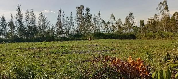 Sakwa Bondon Nyawita