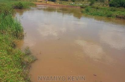Yimbo Magombe