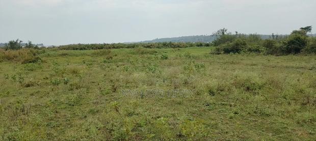 Nyamonye Ugambe Beach Front