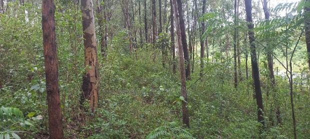 Gem Komuok 17 Acres