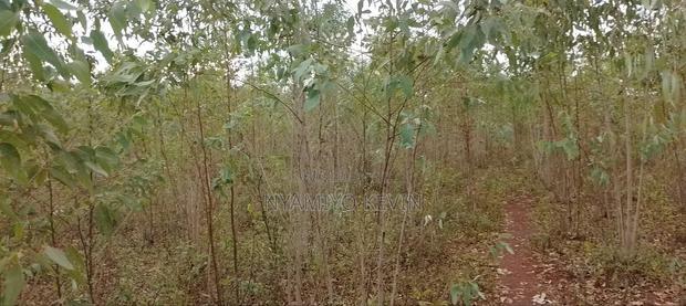 Land for Sale in Asembo Lela