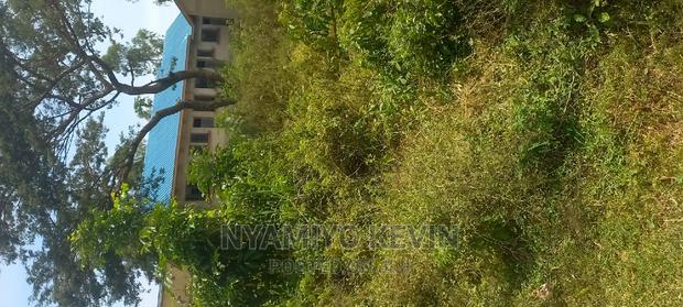 Medula Academy Bondo